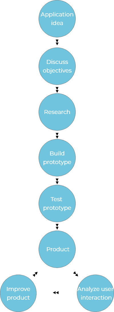 Software Application process